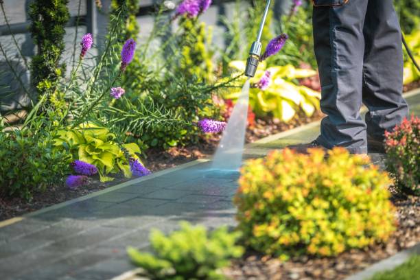 Best Winterizing Services  in Waterville, OH