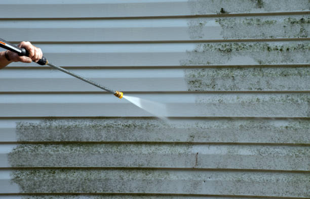 Best Residential House Exterior Washing  in Waterville, OH